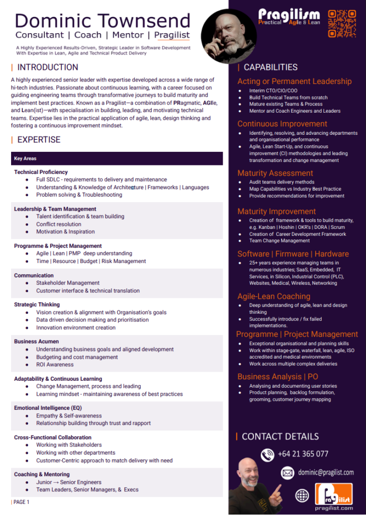 Consulting CV Preview